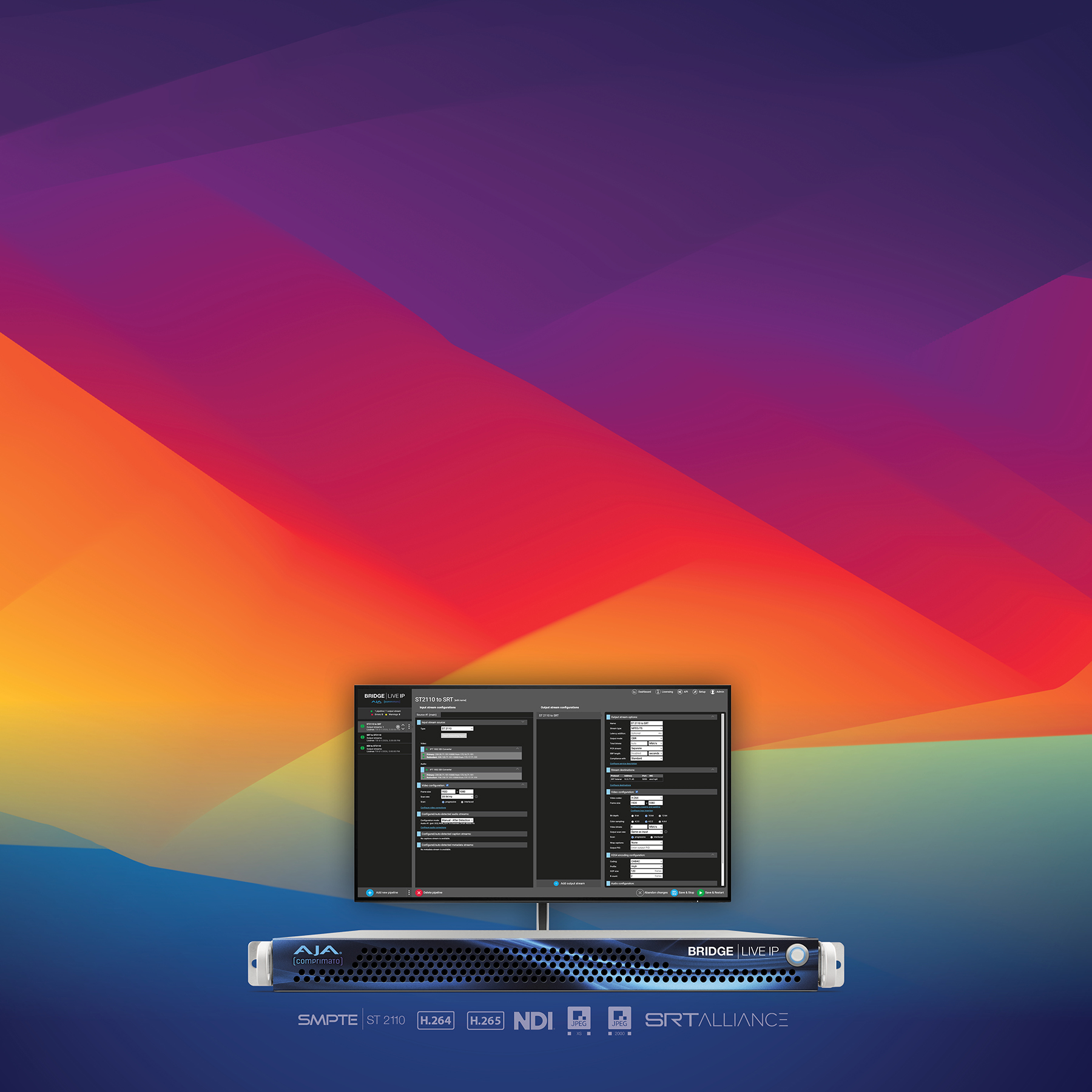 BRIDGE LIVE IP